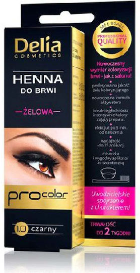 Delia Cosmetics Eyebrow Expert Βαφή για Φρύδια 1.0 Black 15ml