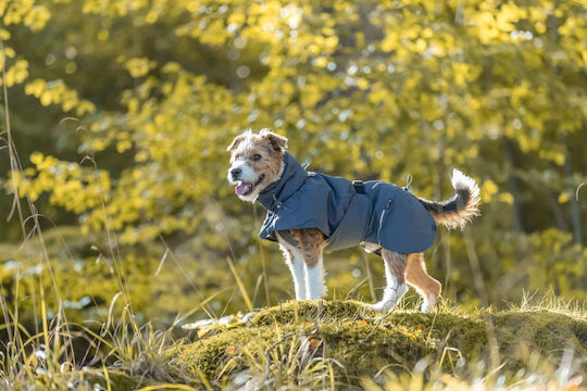 Trixie Explore Μπουφάν Σκύλου Γκρι Large με Μήκος Ράχης 62 εκ.