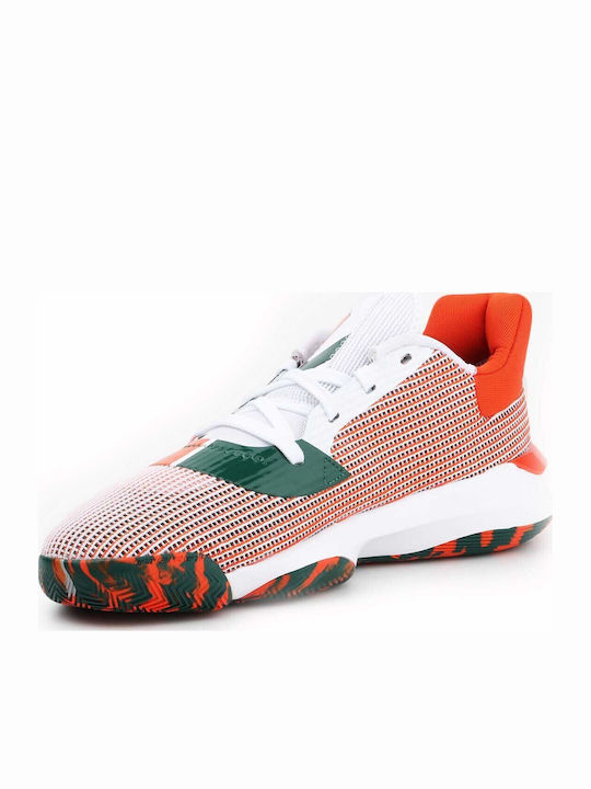 Pro Bounce 2019 Low Ниски Баскетболни обувки Зелени