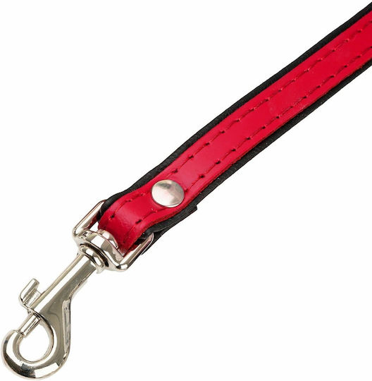 Barry King Hundeleine/Führleine aus Leder in Rot 1,2 m x 20 mm