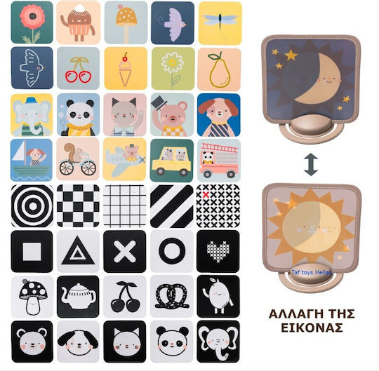 Taf Toys Ζωάκι My 1st Discoveries Flash Cards για Νεογέννητα