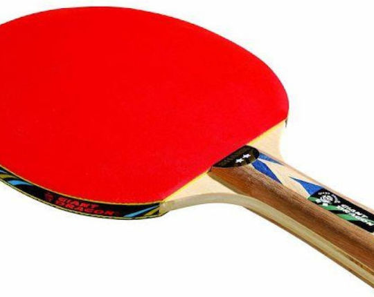 Ping Pong Racket for Beginner Players