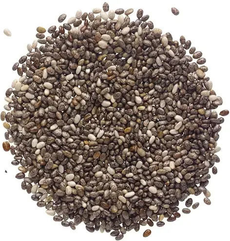 Τσία-chia 1kg Υπερτροφή Υψηλής Διατροφικής Αξίας Passas