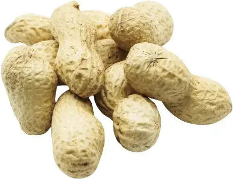 Arahide Redskin Nesărate 1 kg Fructe Uscate și Nuci Passas