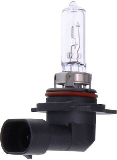Maxgear Autolampe HIR2-9012 Halogen 12V