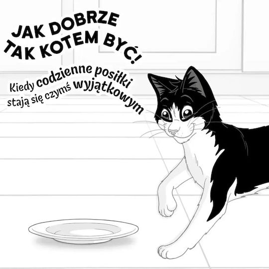 Υγρή Τροφή για Γάτες 44x85gr