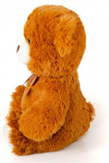 Fun World Plush Teddy Bear 30 cm