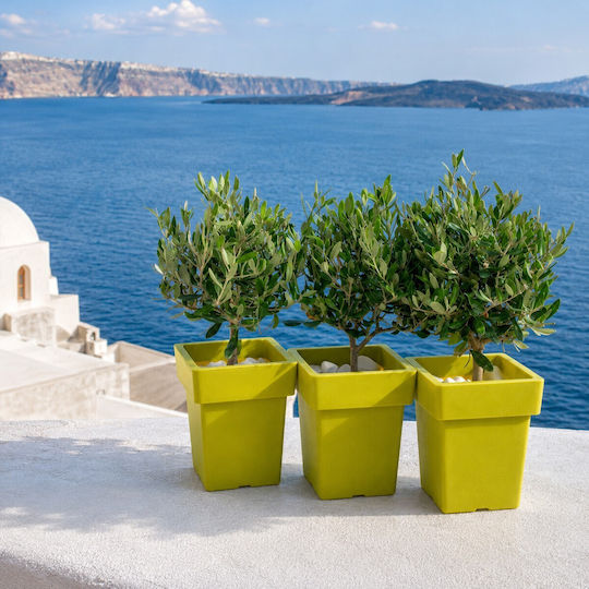 Viomes Pot Basil 27x27x34cm.