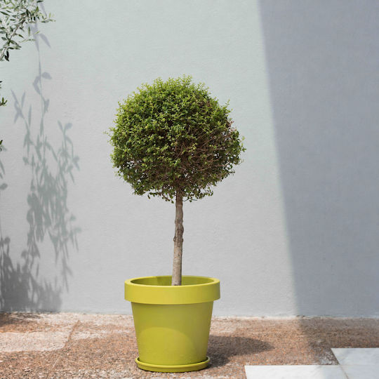 Viomes Iris Basil Flower Pot 30x30x27 cm