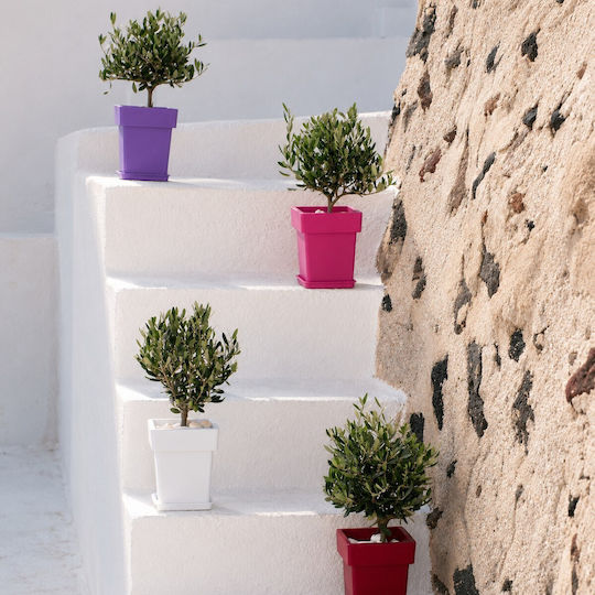 Viomes Linea Pot Green/yellow