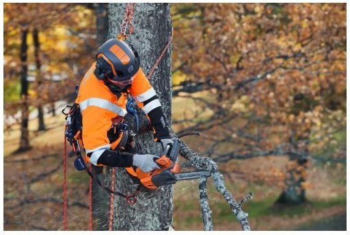 Husqvarna T525 Pruning Gasoline Chainsaw 1.35hp 2.7kg with 25.4cm Blade and Easy Start