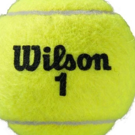 Wilson Roland Garros Clay 3 Ball Can
