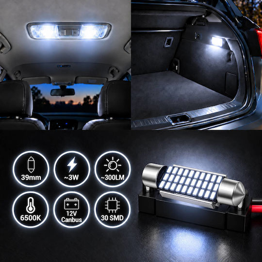 Rchang Becuri Auto și Moto C5W CAN bus LED 6500K Alb Rece 12V 3W 2 buc