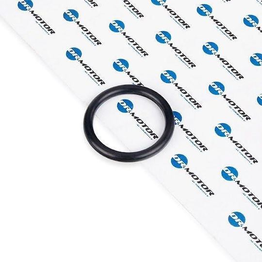O-ring Water Hose Renault 7703065311