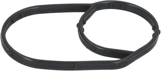 Λαστιχο Βασης Θερμοστατη Group Vag Fsi Tsi 03c121119esr-p174