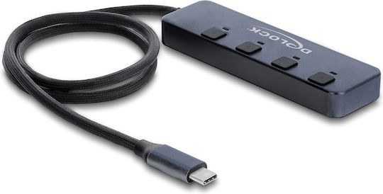 DeLock Hub 10 Θυρών με σύνδεση USB-C Γκρι