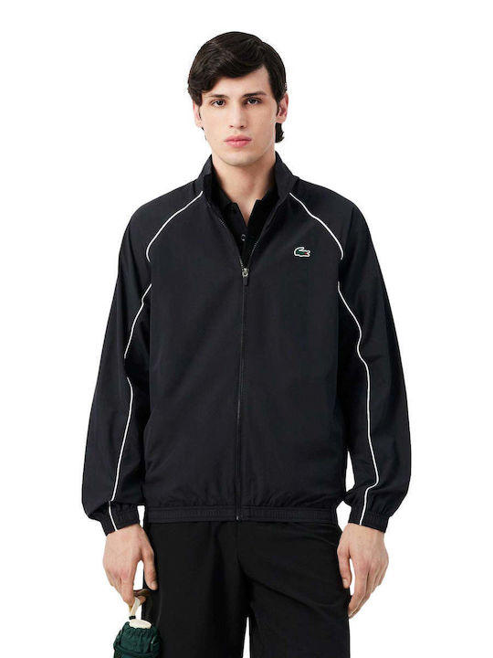 Lacoste Lacoste