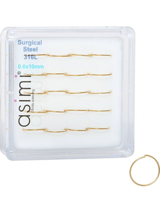 Asimi Επίχρυσος Κρίκος Μύτης 0,6x10 Mm Surgical Steel 316l 1 Tμχ Επίχρυσο Asimi Επίχρυσος Κρίκος Μύτης 0,6x10 Mm Surgical Steel 316l 1 Tμχ Επίχρυσο