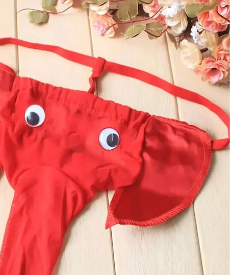 Roza Underwear Men's Sexy Red String