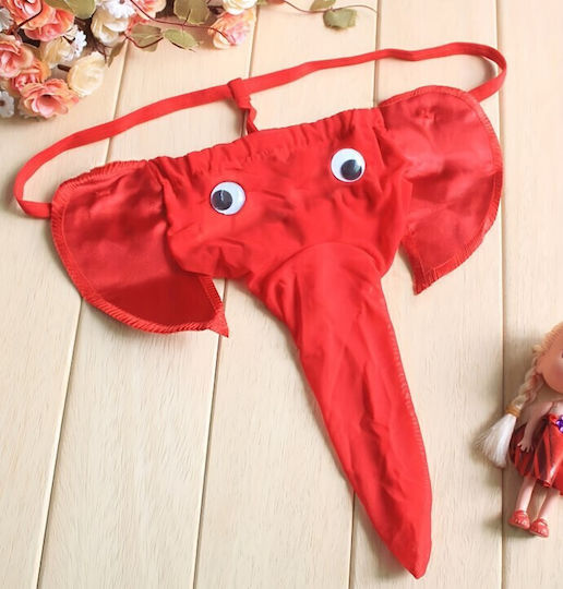 Roza Underwear Men's Sexy Red String