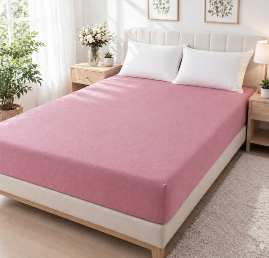 Kotonia Home Kotonia Home
