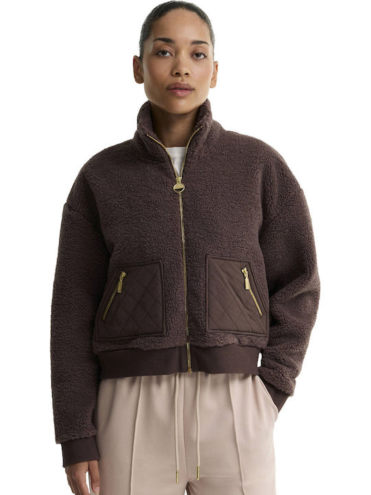 Barbour Barbour