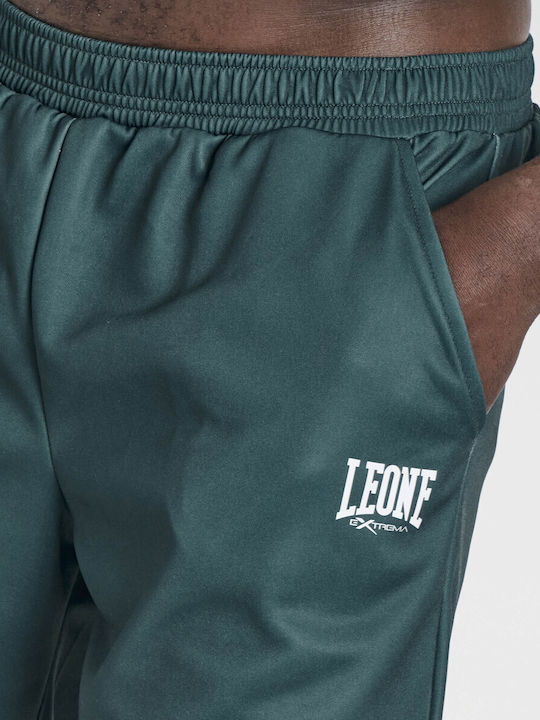 Sport-Shorts für Herren Foresta Green