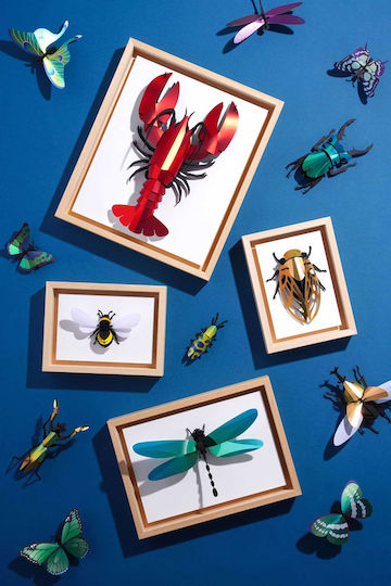 Frame Κορνίζα με Μπεζ Πλαίσιο Ξύλινη 25x29 Frame Κορνίζα με Μπεζ Πλαίσιο Ξύλινη 25x29