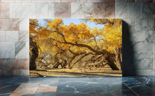 Golden Autumn Trees Χρυσά Φθινοπωρινά Δέντρα 1 Golden Autumn Trees Χρυσά Φθινοπωρινά Δέντρα 1