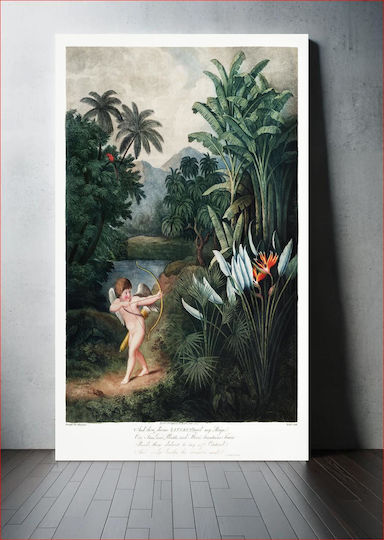 Cupid Inspiring