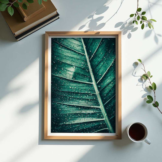 Poster Green Leaf Pst25150 40cm X 50cm Λευκή Ξύλινη Κορνίζα-60687pd156427f55310