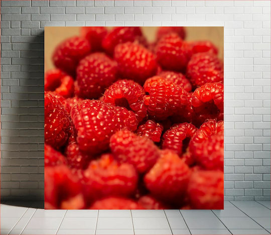 Fresh Raspberries Φρέσκα Σμέουρα 1 Fresh Raspberries Φρέσκα Σμέουρα 1