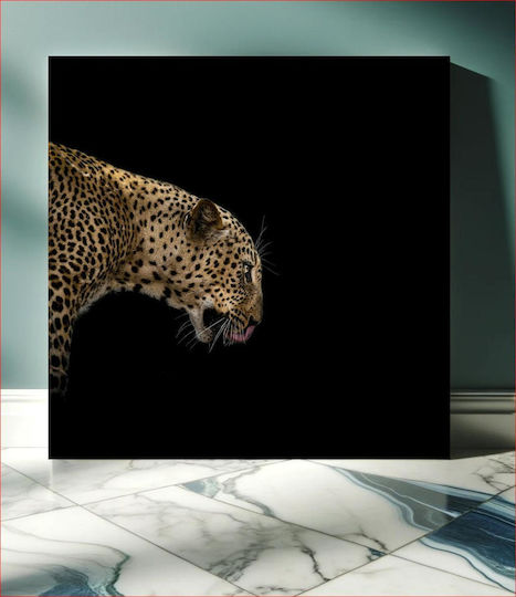 Majestic Leopard In Profile Majestic Leopard Στο Προφίλ 1 Majestic Leopard In Profile Majestic Leopard Στο Προφίλ 1