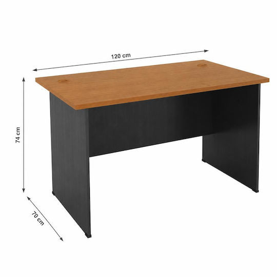 Birou Profesional Din Lemn Gri / Cireș 120x70x74cm EO124,01