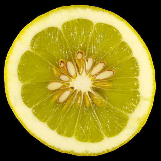 Δέντρο Νάνο Λέμονι Limone Lipo Σεληνιακο Λεμονι Ή 4 Εποχες Δέντρο Νάνο Λέμονι Limone Lipo Σεληνιακο Λεμονι Ή 4 Εποχες