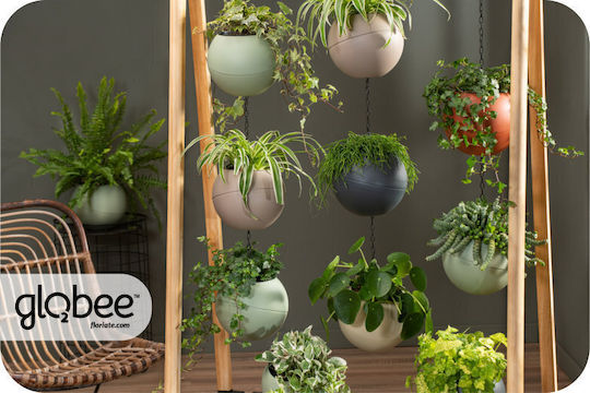 Pot Plastic Olive