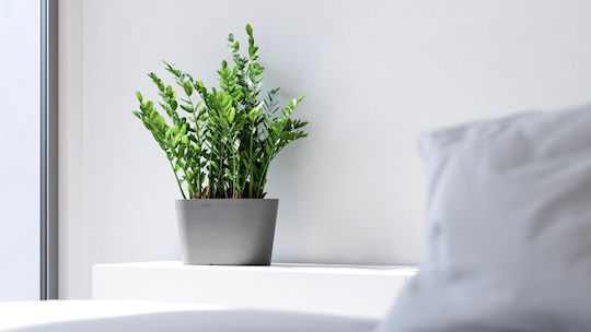 Ecopots Pot Plastic Grey 30x17x17cm.