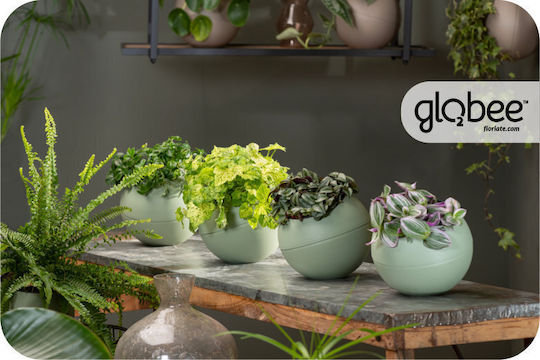 Pot Plastic