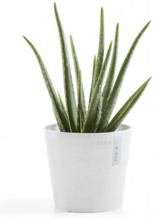 Ecopots Amsterdam Mini Pot Plastic 17x17x15cm.