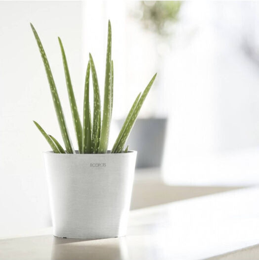 Ecopots Amsterdam Mini Pot Plastic 17x17x15cm.