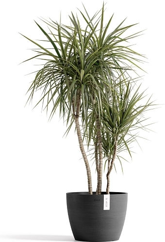 Ecopots Pot Light Grey Ecopots Pot Light Grey