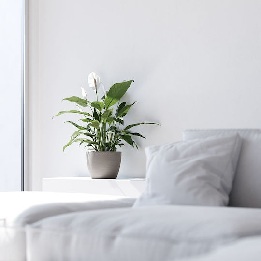 Ecopots Pot Light Grey 31x23.3cm.