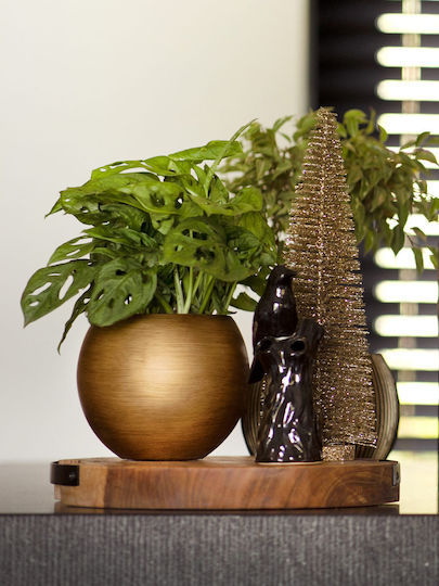 Pot Pot