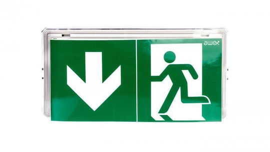 Awex Emergency Luminaire Exit Led 1w 130lm 1h Dual Purpose At White + Pu31 Ete 1w Bsa At Wh Ete 1w Bsa At Wh
