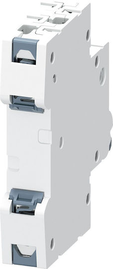 Siemens Αυτόματη Ασφάλεια 6A Διπολική 5SL6006-7