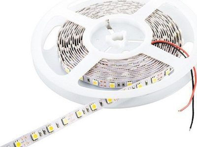 Cubalux Warm White Light LED Strip