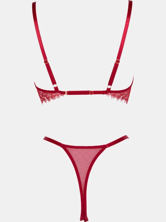 Decoro Lace Underwear Set with Burgundy Slip