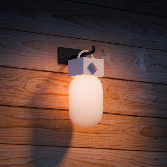 Native Union Decorative Lamp