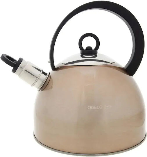 Odelo Fierbător din Oțel Inoxidabil Copper 2500 ml OD2213