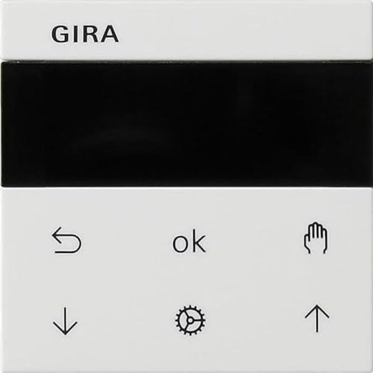 Gira Wall-mounted Wall Switch with White Frame